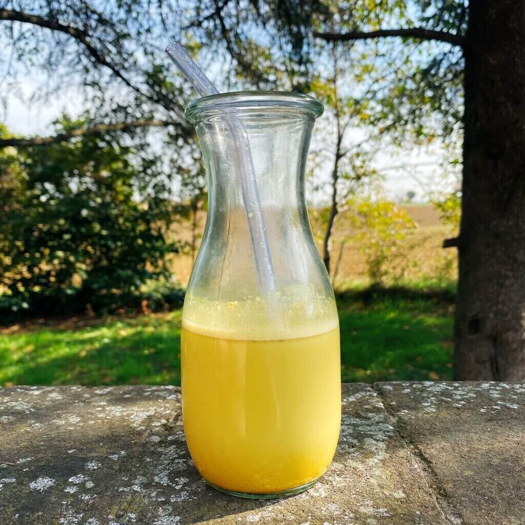 Ricetta Lassi al Mango Il Punto Bio