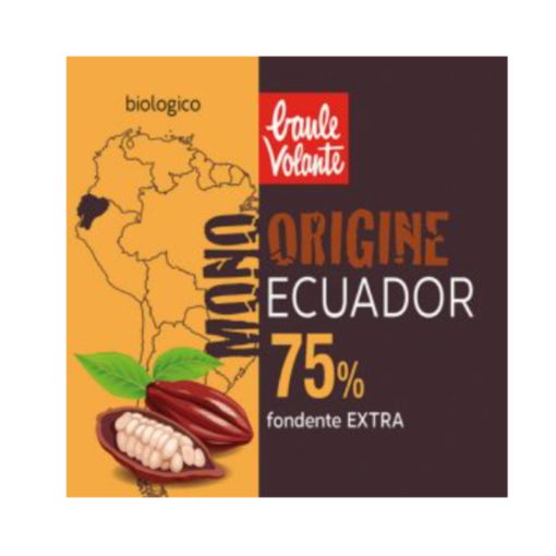 8018848018479-CIOCCOLATO FOND EXTRA 60gr BAULE VOLANTE