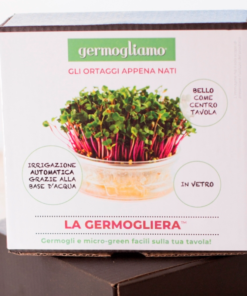 8055742741997-GERMOGLIATORE IN VETRO