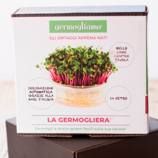 8055742741997-GERMOGLIATORE IN VETRO
