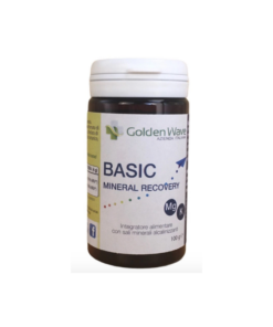 8056459390904-BASIC MINERAL RECOVERY 100gr GOLDEN WAVE