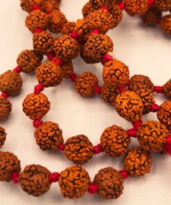 2500000001019-COLLANA MALA RUDRAKSHA piccolo