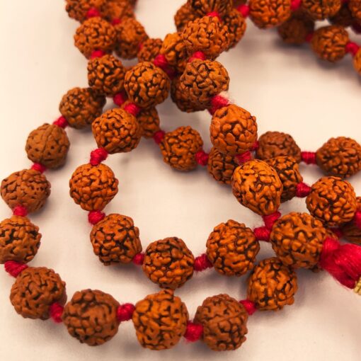 2500000001019-COLLANA MALA RUDRAKSHA piccolo
