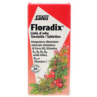 4004148057076-FLORADIX 250ML salus