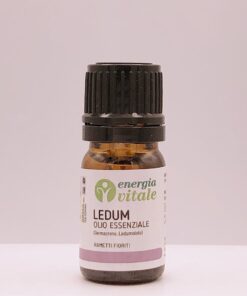 2500000000549-EV LEDUM OE 5ML