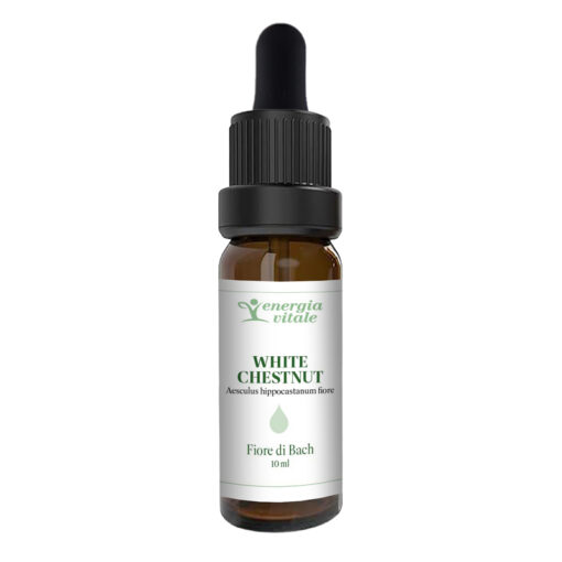 2500000000411-WHITE CHESTNUT FB ENERGIA VITALE