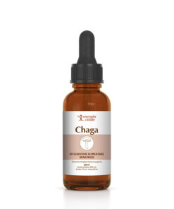 2500000001103-CHAGA - fungo spagirico - EV