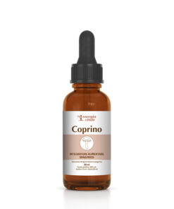 2500000001104-COPRINO - fungo spagirico - EV