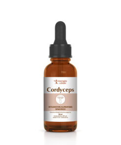 2500000001105-CORDYCEPS - fungo spagirico - EV