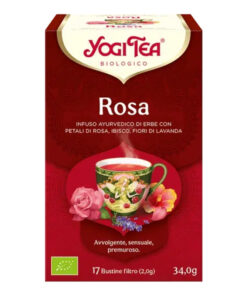 4012824400795-ROSA 17 FILTRI YOGI