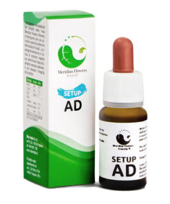 8058268411573-SETUP AD 10ml Sitar